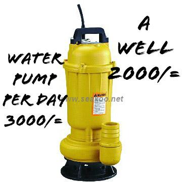 Water Pump (Submersible)